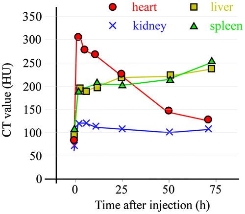 Figure 2. Change in CT value of each organ before and time after injection (h) with Au-PEG in tumor-bearing mice. The contrast effect of the heart rapidly increased and was retained for a long time. The effect gradually decreased. By contrast, the contrast effect of the liver and spleen gradually increased. In the kidney, there were no observable changes in CT value.