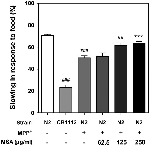 Figure 4. Effects of MESA on the defected food-sensing response in MPP+-treated C. elegans. Travel distances in the both of food-coated plate and non-coated plated were measured and basal slowing response were calculated. An automated behaviour-tracking system was used for tracking and recording of travel distances of worms. The CB1112 mutant strain was used as negative control. Data are expressed as mean ± S.E.M. and results are obtained from three independent assays. Significance of difference between MESA treatment and MPP+-treated control was determined by a one-way ANOVA. ###p < 0.001 compared with vehicle control. **p < 0.01 and ***p < 0.001 compared with MPP+-treated control.