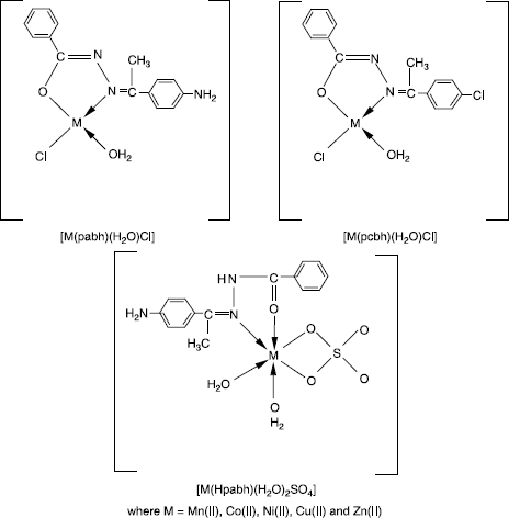 Figure 2.  Representative structures of the complexes.