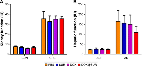 Figure S3 Serological analysis of MCF-7/ADR-bearing nude mice at the end of tumor inhibition experiments, including ALT, AST, BUN and CRE.Note: Data are represented as mean value ± SD (n=6).Abbreviations: ALT, alanine transaminase; AST, aspartate aminotransferase; BUN, blood urea nitrogen; CRE, creatinine; DOX, doxorubicin; SUR, surfactin; DOX@SUR, DOX-loaded surfactin.