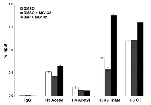 Figure 6 MG132 alters histone epigenetic modifications. HeLa cells were treated with 1 µM MG132 followed by a 12 h treatment with DMSO vehicle or 3 µM BaP. Cells were processed for ChIP assays using 25 µg of chromatin per immunoprecipitation. Real time PCR for DNA samples from ChIP assays with antibodies shown was performed using primers targeting the L1 promoter (5′UTR). Isotype-matched IgG control was used to control for non-specific enrichment of L1 DNA sequences. The results shown are representative of experiments with four replicate samples and repeated two independent times. Calculations for L1 promoter sequence enrichment within ChIP samples was performed according to the SABiosciences ChIP-qPCR Data Analysis manual (www.sabiosciences.com/chipqpcrresource.php) and plotted as a function of percent enrichment relative to input (% input) chromatin.