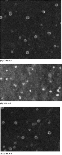 Figure 1. Transmission electron microscopic photographs of (A) G-SLN-3, (B) S-SLN-3 and (C) C-SLN-3 formulations (D82£ 10,000).