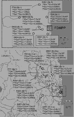 Figure 2. Sampling areas and results of measurement of isotopic ratio and activity ratio. These areas are same as them of previous study reporting isotopic ratios of Pu and U: area showing boxed characters means that contamination of Pu from FDNPP was observed in previous study [Citation19]. Contour of radiation dose rate were made using published data from MEXT [Citation28].