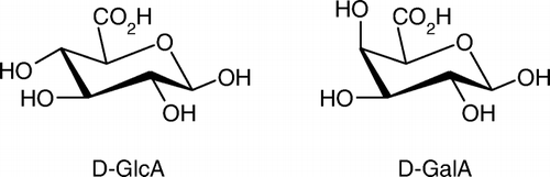 Scheme 1.  Structures of β-d-glucuronic acid (d-GlcA) and β-d-galacturonic acid (D-GalA).