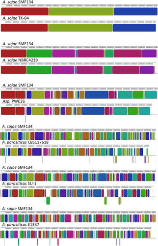 Figure 3. Schematic representation of homologous regions in genome sequences of Aspergillus sojae strains, PWE36, and Aspergillus parasiticus isolates. The genome sequence of A. sojae SMF134 that had been assembled at the chromosome level was used as the reference; it was concatenated in chromosome order (from I to VIII). Colored blocks are locally collinear blocks (LCBs), which indicate homologous regions between two genomes. The LCB weight was set at around 550 except for the SMF134/TK-84 pair, of which the lowest score was 24,283. Regions that were split and translocated in a compared genome are shown as inverted segments at the bottom.