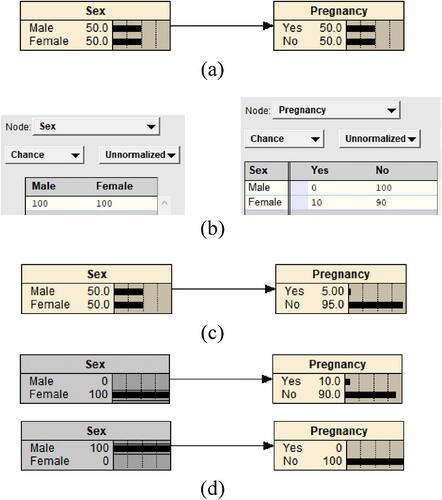 Fig. 5 Example 1 built in Netica.