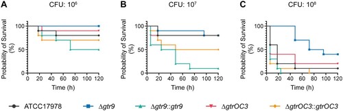 Figure 6. In vivo virulence tests of A. baumannii strains and the Phab24 resistant isolates. Survival of G. melonella larvae over 120 h after injection with (A) 106 colony forming units (CFU), (B) 107 CFU, and (C) 108 CFU of A. baumannii strains. Each group consisted of 10 larvae. Shown is a representative experiment of 4 independent repeats.