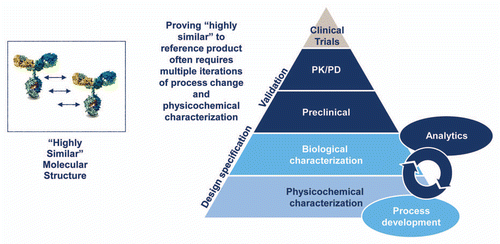 Figure 3 Biosimilar development process. The development of a biosimilar relies on creation of a design space based on analysis of the reference product and then iterative development of a biosimilar to fit the chosen specifications. There is no access to, nor need for, originator data at any point in this process. The early process development is essential, and later development cannot compensate for this initial generation of a “highly similar” candidate product. As the complexity of the reference product increases, the initial development becomes more challenging, and the likelihood that multiple iterations will be needed increases.