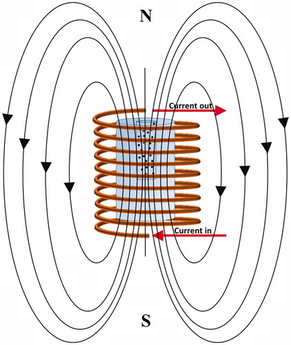 Figure 3. A schematic of the approach used for heating the solution containing superparamagnetic nanoparticles under exposure to an AMF. The tube containing SBF solution and nanoparticles was embedded in a tissue-mimicking phantom and exposed to the AMF with different experimental parameters.