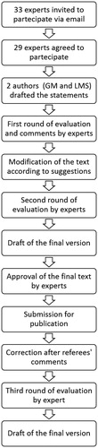 Figure 1. Flowchart of the Delphi consensus process used in the present document.