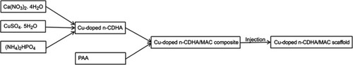 Figure 1 A flow chart about the preparation of scaffold.Abbreviations: n-CDHA, nano calcium-defcient hydroxyapatite; n-CDHA/MAC, nano calcium-defcient hydroxyapatite/multi(amino acid) copolymer; PAA, polyamino acid.