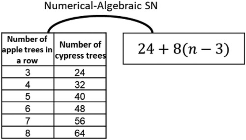 Figure 9. Another example of Numerical-Algebraic SNs (the general term for an arithmetic sequence).