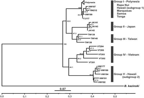 Figure 2 Dendrogram representing the genetic diversity of ISSR analyses among B. papyrifera samples from Asia and Island Oceania using neighbour-joining analysis. Numbers on branches correspond to the bootstrap values after performing 10,000 permutations. Outgroup: B. kazinoki from Japan.