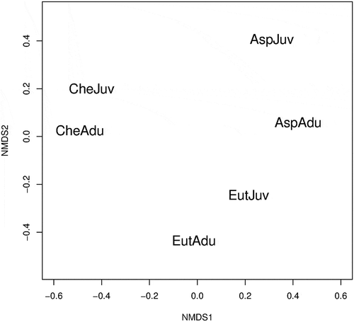 Figure 1. Non-metric multidimensional scaling (nMDS) ordination graph based on Bray–Curtis dissimilarity matrix. Stress values: 0.02. Diet overlap was computed on numerical abundance of prey species. Two main size classes (juvenile and adult) were considered for each gurnard (AspJuv = Aspitrigla cuculus juveniles 110 mm; AspAdu = adults > 110 mm; CheJuv = Chelidonichthys lucerna juveniles 180 mm; CheAdu = adults > 180 mm; EutJuv = Eutrigla gurnardus juveniles 100 mm; EutAdu = adults > 100 mm).
