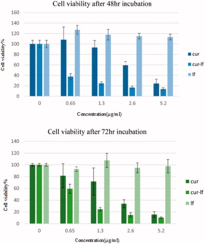 Figure 7. Effect of various concentrations of curcumin, Lf and conjugated curcumin on cell viability after 48 h and 72 h. Viability was determined as the percentage of living cells in treated cultures to control.