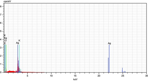 Figure 5. Energy dispersive X-ray (EDX) spectrum of silver nanoparticles biofabricated using the Hugonia mystax aqueous extract, showing presence of different phyto-elements as capping agents.