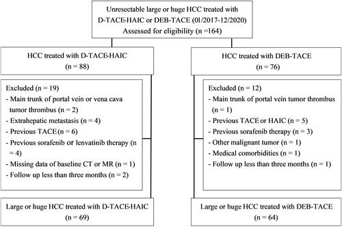 Figure 1 Flow diagram shows exclusion in patients with large or huge hepatocellular carcinoma (HCC).