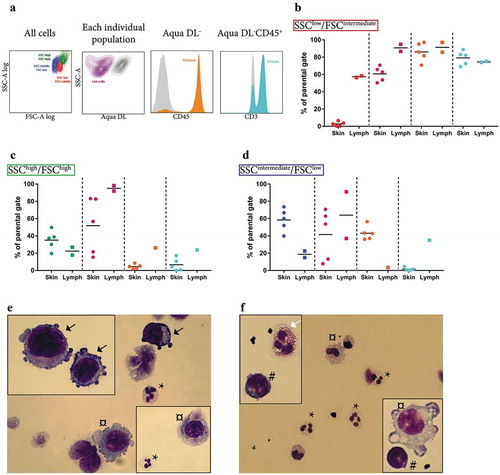 Figure 2. Analysis of the cellular composition of tumour tissues by flow cytometry. (a) Flow cytometry showed that the majority of the tumours consisted of three distinct populations in SSC-A log and FSC-A log, namely an SSClow/FSCintermediate population (red, further analysed in b), an SSChigh/FSChigh population containing the largest and the most granulated cells (green, further analysed in c), and an SSCintermediate/FSClow population (blue, further analysed in d). (b–d) Percentages of live cells (purple), cells positive for the leukocyte marker CD45 (orange), and CD45+ cells also positive for the T lymphocyte marker CD3 (turquoise) are shown separately for the SSClow/FSCintermediate (b), the SSChigh/FSChigh (c), and the SSCintermediate/FSClow population (d). N = 5. (e–f) Hemacolor Rapid staining of the single cell-suspension of subcutaneous melanoma metastasis (e) and lymph node metastasis (f). Black arrows, tumour cells; white arrows, eosinophils; *, neutrophils; #, lymphocytes; ¤, macrophages. N = 5.