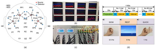 Figure 1. EEG-fNIRS bimodal acquisition system. (a) Distribution map of EEG electrodes and fNIRS channels. 34 EEG electrodes are contained. The reference electrodes are represented as M1 and M2. The ophthalmic electrodes are represented as HEO and VEO. There are 20 fNIRS channels, the source is represented in red while the detector is represented in blue, and the dashed line between the detector and the source represents the fNIRS channel. (b) The feedback interface shows the change in blood oxygen levels at each fNIRS channel during the SI tasks, which is used to detect the effectiveness of the SI. (c) The appearance of the CW-fNIRS system. (d) Experimental process. The data of each subject includes 15 blocks, each block has 60 trials, which contains 20 trials of 0.5 Hz left hand clenching, 20 trials of 1 Hz left hand clenching and 20 trials of rest.