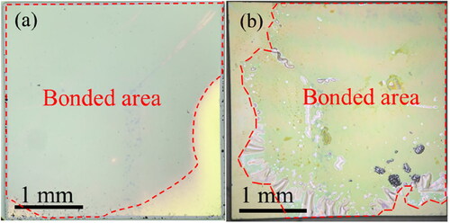 Figure 2. Optical microscopy images of the as-bonded GaN/diamond sample (a) before and (b) after removing Si substrate.