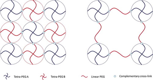 Figure 18. Schematic illustration of tetra-PEG hydrogels