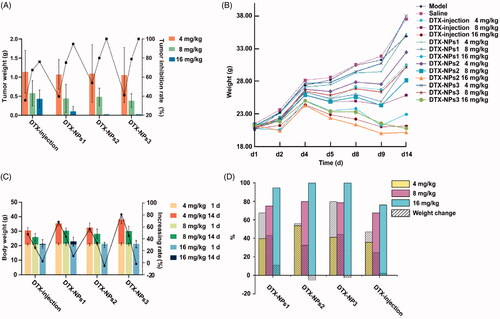 Figure 5. (A) The tumor weight and tumor inhibition rate of various formulations; (B) the changes of body weight of mice after intravenous injection of various formulations; (C) the body weight and its increasing rate of mice at the end of the experiment; (D) the contrast of body weight changes and tumor inhibition rate (n = 10).