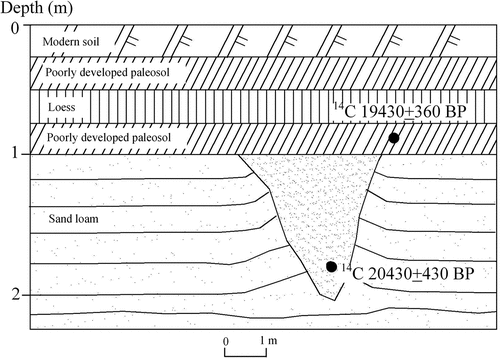 Figure 10. Ice-wedge pseudomorphs as reported by Pan and Xu (Citation1989) at Qiejitan (36°21“N, 99°42”E; 3,380 m a. s. l.) in the western Gong’he Basin in the Source Area of the Yellow River on the northeastern QTP, Southwest China.