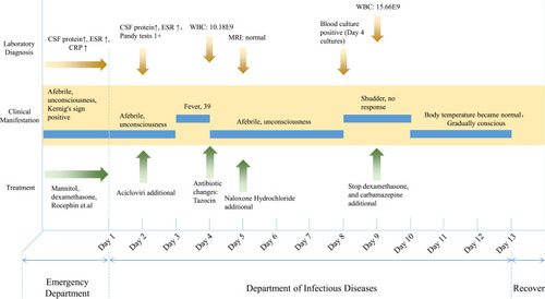 Figure 1 Timeline of the patient’s illness and treatment in the hospital. Time in days is shown along the x axis with treatment, clinical manifestation, and laboratory diagnosis along the y axis. The patient was sent to the Emergency Department on Day 1 and transferred to the Department of Infectious Diseases in the following days. We reported a positive blood culture result on day 8.