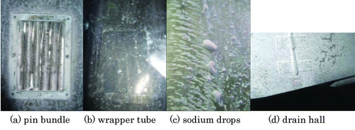 Figure 13 Surface views of pin bundle model after cleaning test (case 1–2)