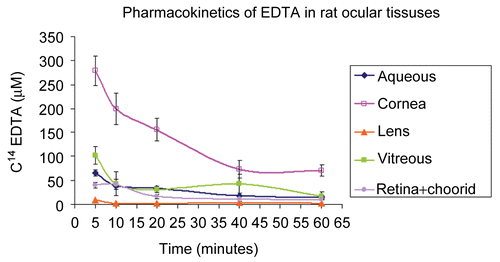 Figure 5.  C14-EDTA applied topically together with the carrier MSM penetrated the various rat ocular tissues, including the aqueous, cornea, lens, vitreous, and retina+choroid.