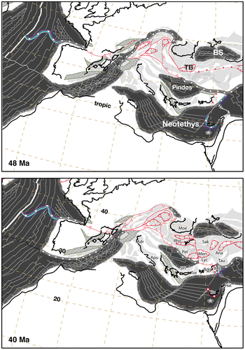 Figure 7. Lutetian-Bartonian (Middle Eocene) paleogeographic reconstructions (from Stampfli and Hochard (Citation2009), modified). Following the closure of the Vardar-Izmir-Ankara ocean, the subduction of the Pindos and Troodos oceanic slabs triggered upper-plate extension and the opening of numerous rifts and associated core-complexes in Turkey, in the Cyclades, and in the Balkans. The Thrace Basin developed within this framework of post-collisional extension in the area facing the subducting remnant Pindos Ocean. Abbreviations: Adr, Adria; Ana, Anatolides; Ant, Antalya; Apu, Apulia; Bdg, Beydaglari; BS, Black Sea; Hat, Hatay; Lyc, Lycian; Men, Menderes; Moe, Moesia; Pel, Pelagonian; Rho, Rhodope; Sak, Sakarya; Tau, Taurus; TB, Thrace Basin; Tro, Troodos.