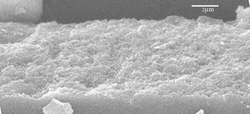 Figure 9. SEM image of thin film of ZnO/GO/TiO2.