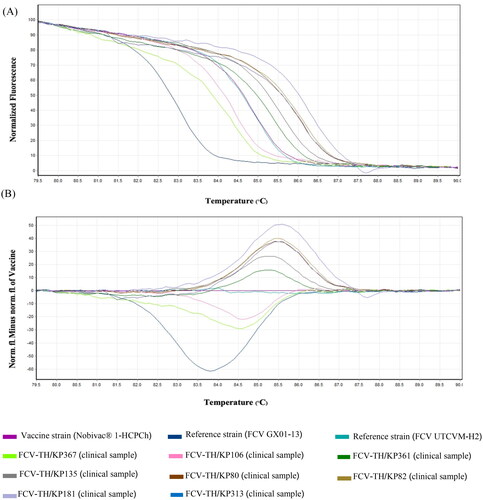 Figure 1. Feline calicivirus (FCV) strain differentiation by high-resolution melting (HRM) analysis. (A) HRM normalized the melt curve of eight unique patterns. (B) HRM difference graph of the eight FCV strains using the vaccine strain (nobivac® 1-HCPCh) as a reference strain. HRM normalized and difference graphs could distinguish eight FCV-strain typing patterns from 11 strain templates.