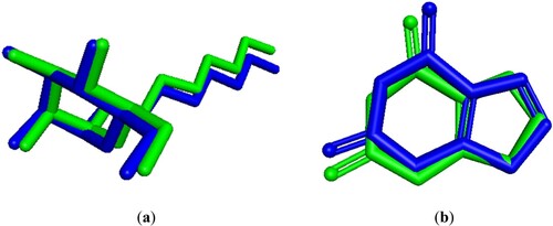 Figure 18. (a) Redocking pose of E. coli with its native ligand. (b) Redocking pose of A. flavus with its native ligand, showing the original (blue) and docked (green) configurations for both.