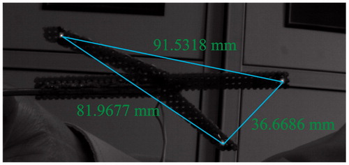 Figure 4. Distances between two markers on a surgical instrument.