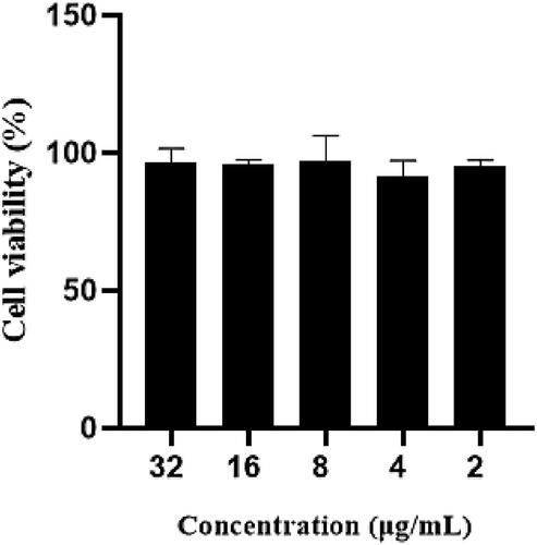 Figure 2. Cytotoxicity of enrofloxacin-composite nanosystem.
