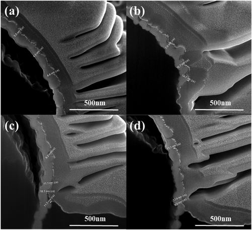 Figure 10. Cross-sectional scanning electron microscope (SEM) image of coating thickness with corrosive coating concentration: (a) 0.47 wt%, (b) 0.94 wt%, (c) 1.4 wt%, and (d) 1.84 wt%.