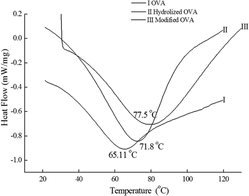 Figure 2. Thermal properties of OVA.