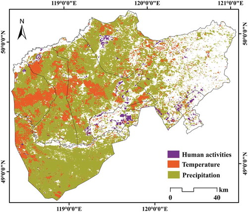 Figure 11. Spatial distribution of the dominance driving factors for vegetation change. Locations shown in different color indicate different dominant driving factors of human activities, precipitation, and temperature. The blank area represents no significant correlation with the driving factors.