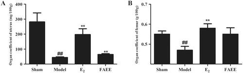 Figure 7. Effect of FAEE treatment on the organ coefficient in OVX rats. Uterus (A) and femur (B). Data are the mean ± SEM of triplicate experiments. ## p < 0.01 versus sham-operated rats, ** p < 0.01 versus OVX rats.