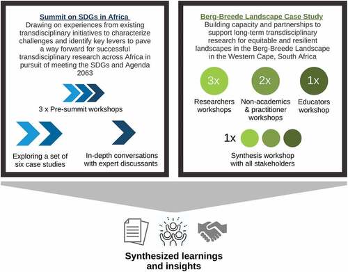 Figure 1. Summary of the SDG Summit and Berg-Breede catchment multi-actor social learning processes.