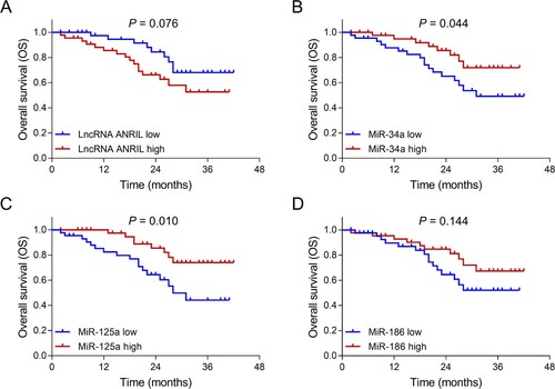 Figure 5. Associations of lncRNA ANRIL, miR-34a, miR-125a and miR-186 with OS in patients with MM. Comparisons of OS between patients with lncRNA ANRIL low expression and patients with lncRNA ANRIL high expression (A), between patients with miR-34a low expression and patients with miR-34a high expression (B), between patients with miR-125a low expression and patients with miR-125a high expression (C), between patients with miR-186 low expression and patients with miR-186 high expression (D). lncRNA ANRIL, long non-coding RNA antisense non-coding RNA in the INK4 locus; miR, microRNA; OS, overall survival; MM, multiple myeloma.