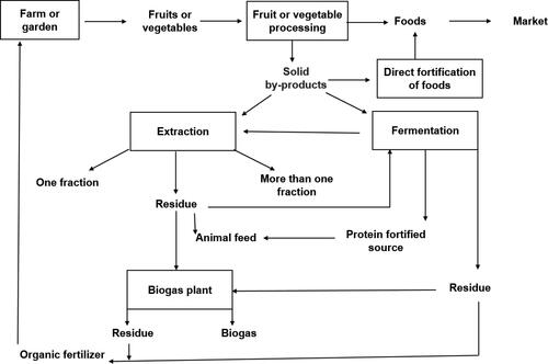 Figure 4. A proposal for increasing the usage of fruit and vegetable by-products and increasing the profits of value-added ingredients extraction process.