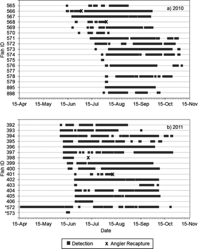 FIGURE 2 Abacus plots depicting daily residence (gray shading; only data from Vemco VR2W receivers are shown) and angler recaptures (x) of individual Atlantic tripletails within the Ossabaw Sound Estuary, Georgia, during (a) 2010 and (b) 2011. Asterisks denote fish that were tagged in 2010 and that returned in 2011.