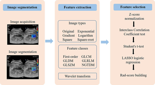 Figure 2 Workflow of the critical steps in constructing an ultrasound imaging-based rad-score for a patient with diabetic kidney disease. Kidney tumor is first manually segmented on ultrasound images to extract radiomics features. After normalization, a three-step feature selection method (Interclass Correlation Coefficient test, Student’s t-test, and LASSO logistic regression) was performed to recognize the key radiomics features associated with the development of CVD and incorporate them into the rad-score.