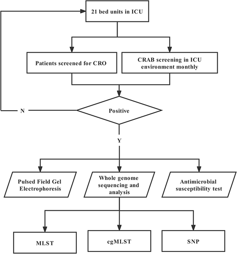 Figure 1 Flowchart of swabs collected from the ICU. The study was conducted between May 2020 and August 2020.