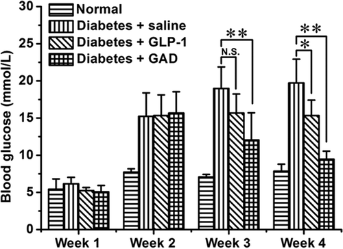 Figure 3. GAD treatment reduced fasting glucose of the diabetic mice. n = 8 for each group; N.S., not significant; *p < 0.05, **p < 0.01.