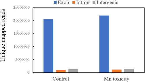 Figure 1. Mapping region analysis for the clean reads from control and Mn toxicity samples.