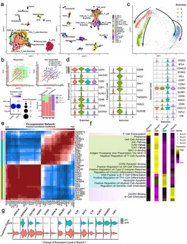 Figure 7. Trajectory Analyses of All Cell Types and Tumor-Specific CD8 T cells Using Ligand/Receptor-Related Genes