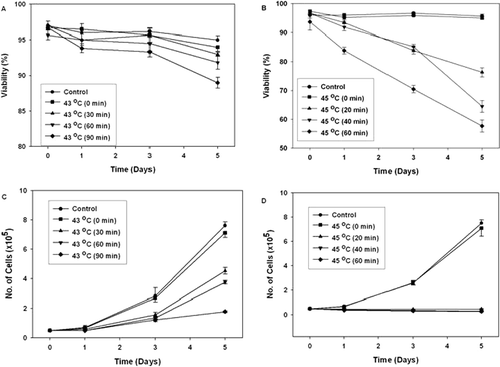 Figure 1. The effect of hyperthermia on the viability (A and B) and growth (C and D) of K562 cells at various times after heat treatment. Cells were heat treated at 43°C (A and C) and 45°C (B and D) for different periods of time. The number of cells and their viability was determined 24, 72 and 120 h of incubation at 37°C after heat treatment. Values are Mean ± SEM from three independent experiments.